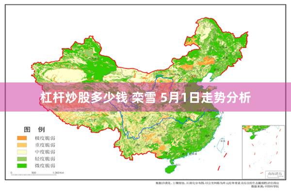 杠杆炒股多少钱 栾雪 5月1日走势分析