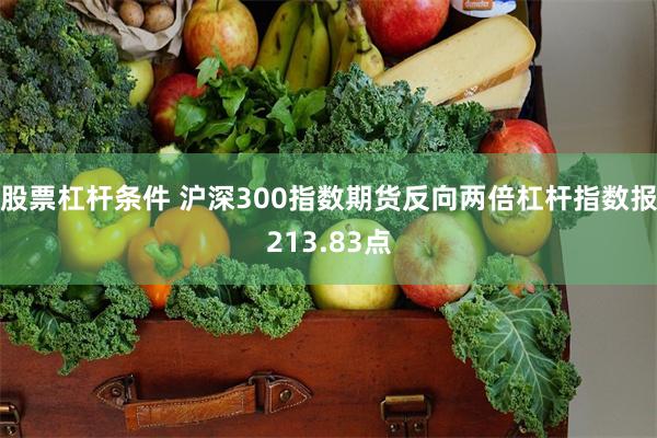 股票杠杆条件 沪深300指数期货反向两倍杠杆指数报213.83点