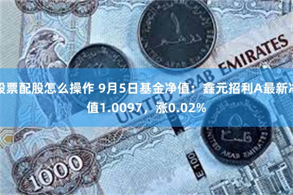 股票配股怎么操作 9月5日基金净值：鑫元招利A最新净值1.0097，涨0.02%