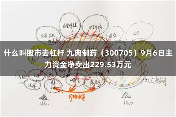 什么叫股市去杠杆 九典制药（300705）9月6日主力资金净卖出229.53万元