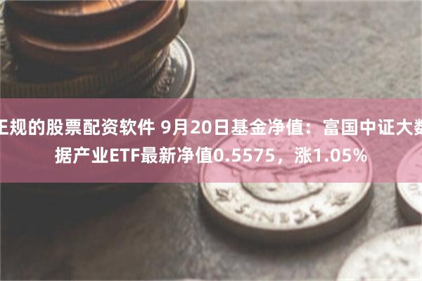 正规的股票配资软件 9月20日基金净值：富国中证大数据产业ETF最新净值0.5575，涨1.05%