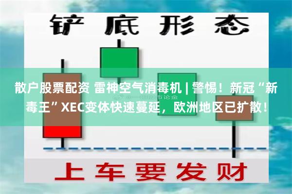 散户股票配资 雷神空气消毒机 | 警惕！新冠“新毒王”XEC变体快速蔓延，欧洲地区已扩散！