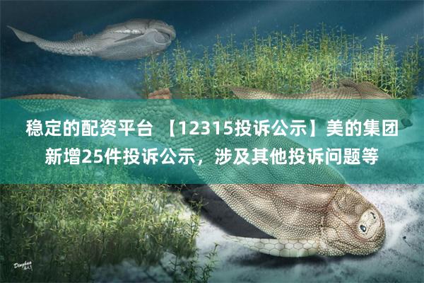 稳定的配资平台 【12315投诉公示】美的集团新增25件投诉公示，涉及其他投诉问题等