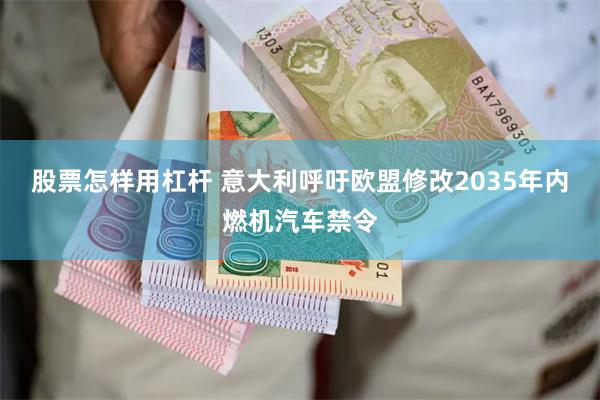 股票怎样用杠杆 意大利呼吁欧盟修改2035年内燃机汽车禁令