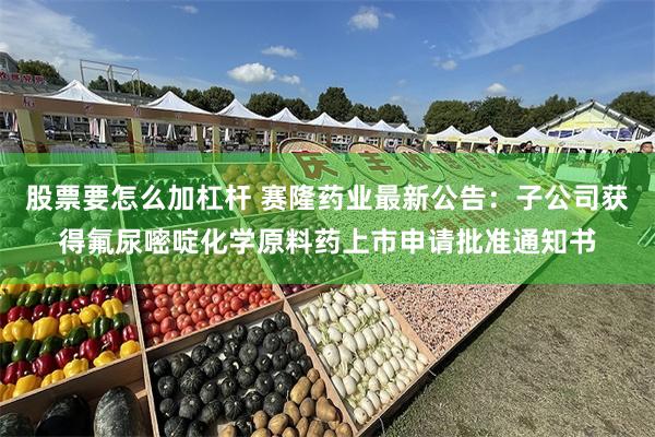 股票要怎么加杠杆 赛隆药业最新公告：子公司获得氟尿嘧啶化学原料药上市申请批准通知书