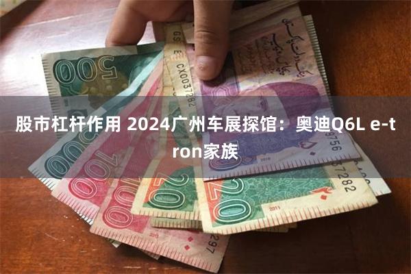 股市杠杆作用 2024广州车展探馆：奥迪Q6L e-tron家族