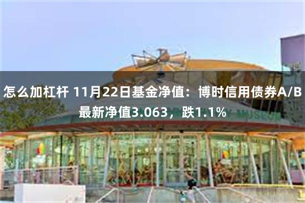 怎么加杠杆 11月22日基金净值：博时信用债券A/B最新净值3.063，跌1.1%