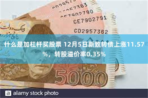 什么是加杠杆买股票 12月5日新致转债上涨11.57%，转股溢价率0.35%