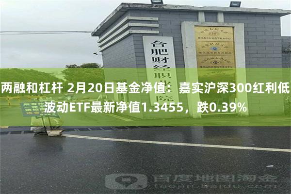 两融和杠杆 2月20日基金净值：嘉实沪深300红利低波动ETF最新净值1.3455，跌0.39%