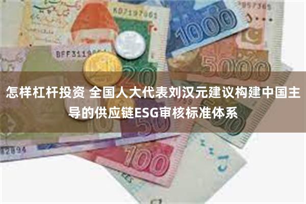 怎样杠杆投资 全国人大代表刘汉元建议构建中国主导的供应链ESG审核标准体系